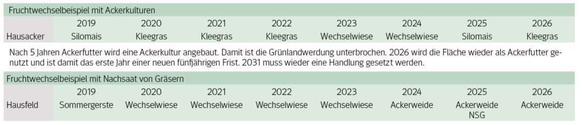 Fruchtfolge gegen Grünlandwerdung.jpg © LK Niederösterreich