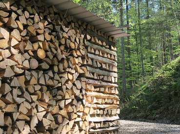 Mondzeichen Brennholz.jpg © LK Vbg. Mondzeichen Brennholz.jpg © LK Vbg.