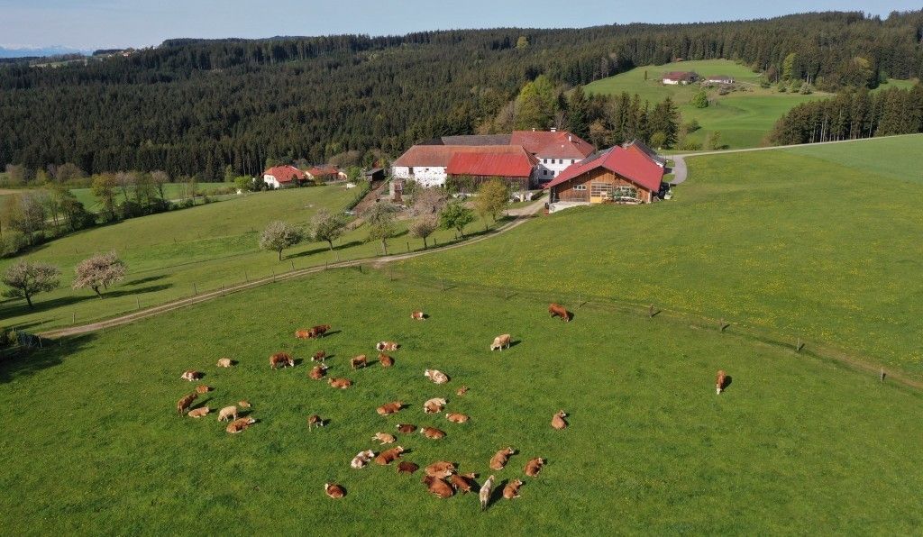 Bauernhof mit Weidevieh im Sommer_LK OÖ Reingruber_klein.jpg © Landwirtschaftskammer OÖ