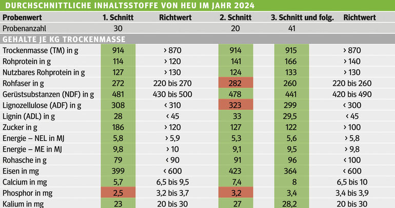 Energie und  Eiweiß machen den Unterschied.jpg © Archiv