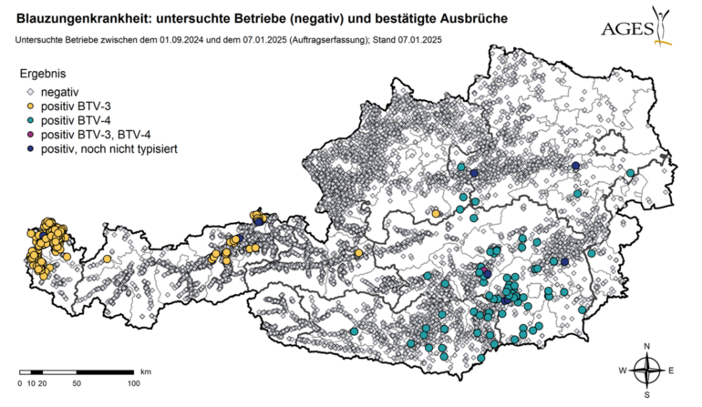 AGES-Übersicht zur Blauzungenkrankheit.png