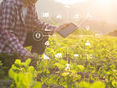 SmartFarming © sodawhiskey
