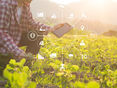 SmartFarming © sodawhiskey