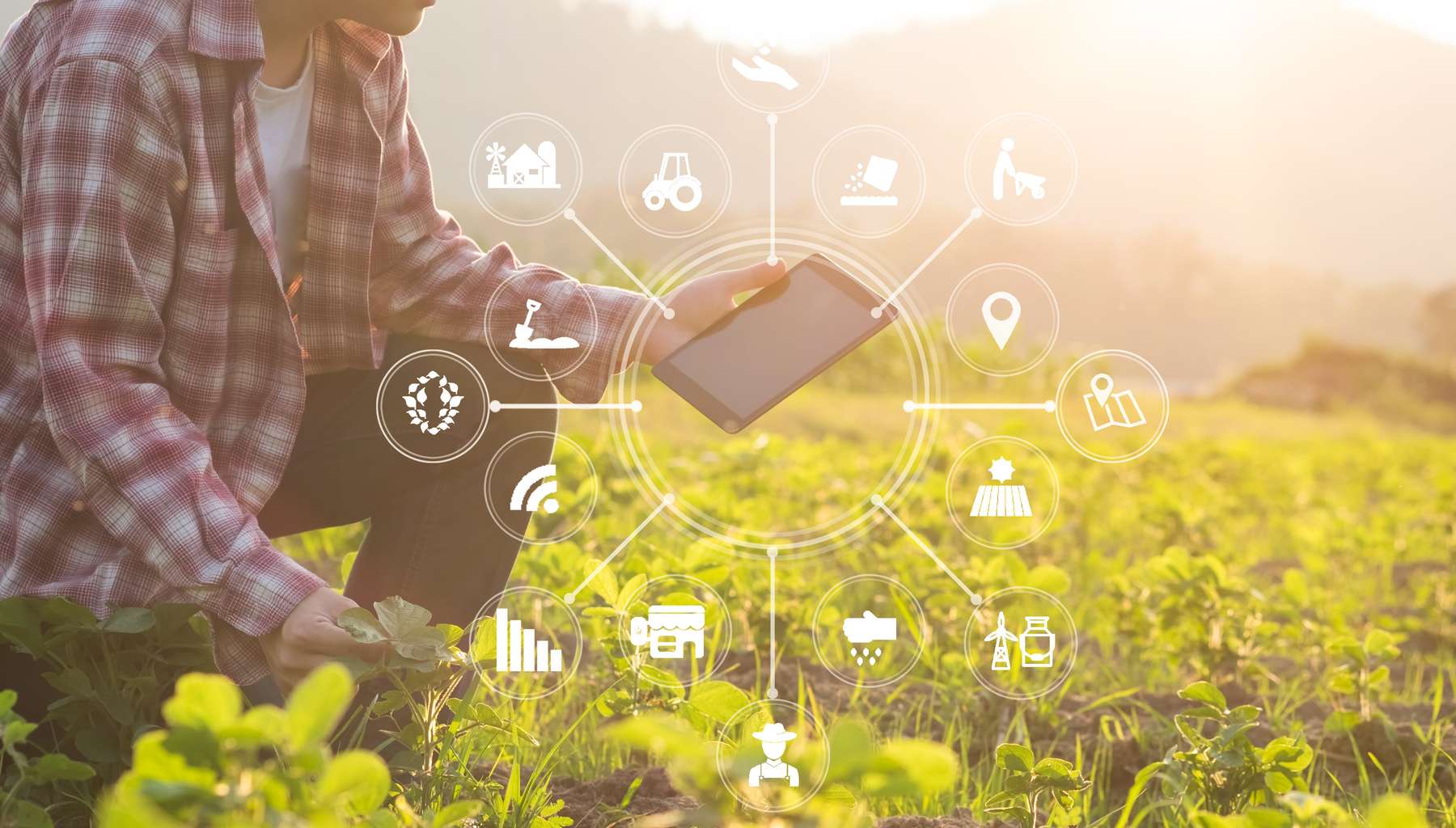 SmartFarming.jpg © sodawhiskey SmartFarming.jpg © sodawhiskey