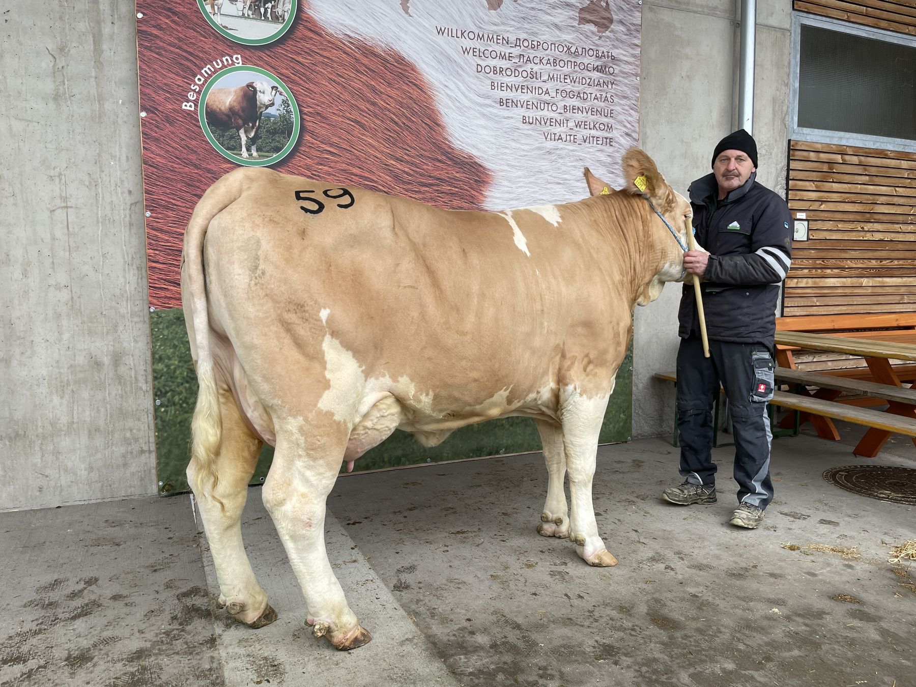 Versteigerung Freistadt Stand-Nr.59.jpg