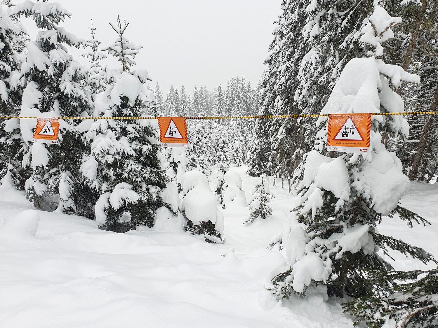 20211209_101402 (c) Land Tirol Kopie.jpg © Land Tirol 20211209_101402 (c) Land Tirol Kopie.jpg © Land Tirol