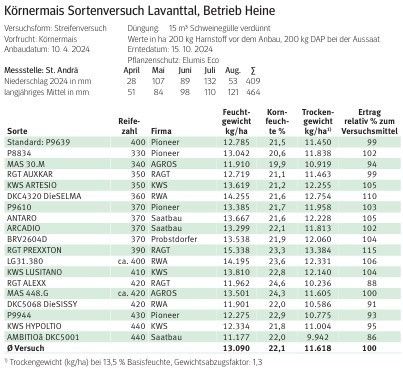 Körnermais Sortenversuch Lavanttal.jpg © LK Kärnten