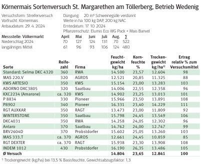 Körnermais Sortenversuch St.Margarethen.jpg