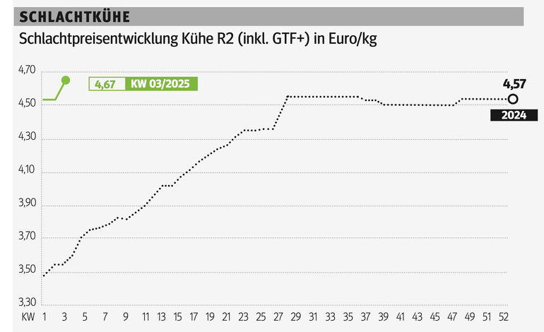 Schlachtkuhgrafik KW 3.png