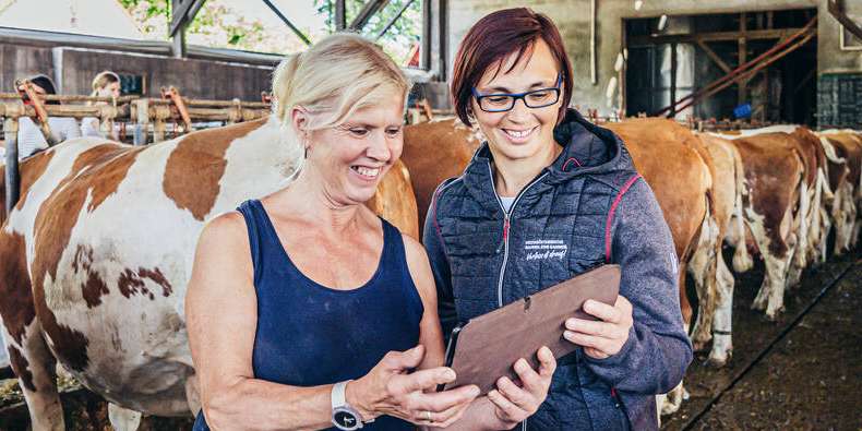 Beratung.jpg © Georg Pomassl/LK Niederösterreich