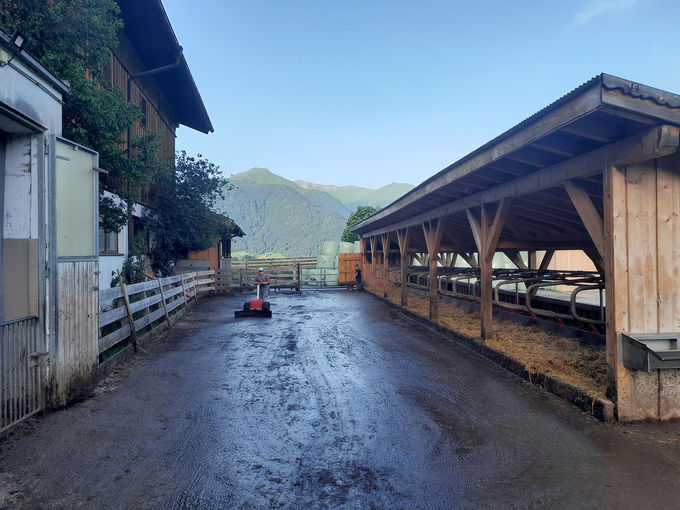 Auslaufstall für Kühe © LK Tirol Auslaufstall für Kühe © LK Tirol