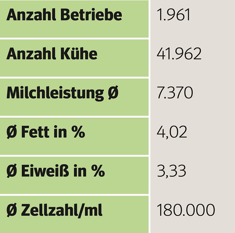 Salzburger Kühe mit steigender Milchleistung.jpg