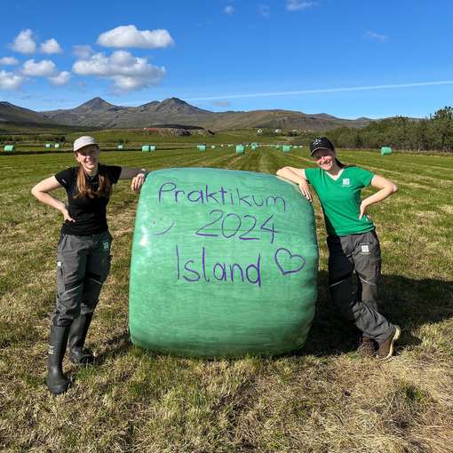 Susanna Flatz absolvierte ihr Praktikum in Island.jpg © Landjugend Österreich/YOIN