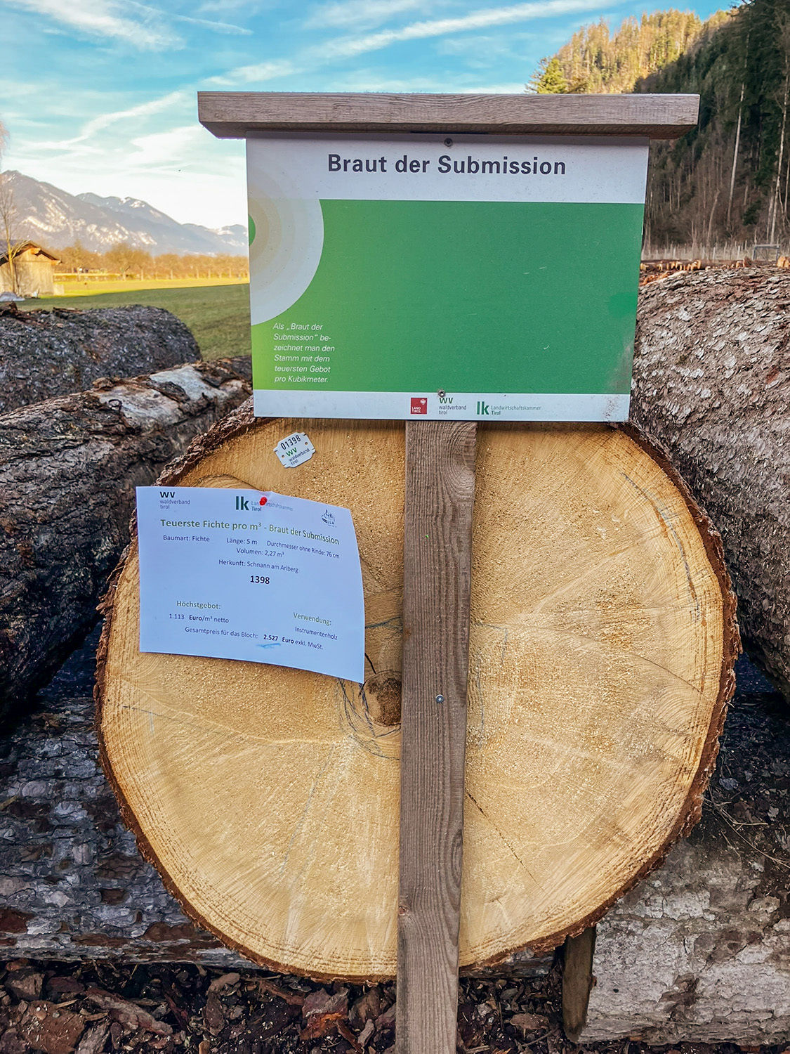 Versteigerung von Holz