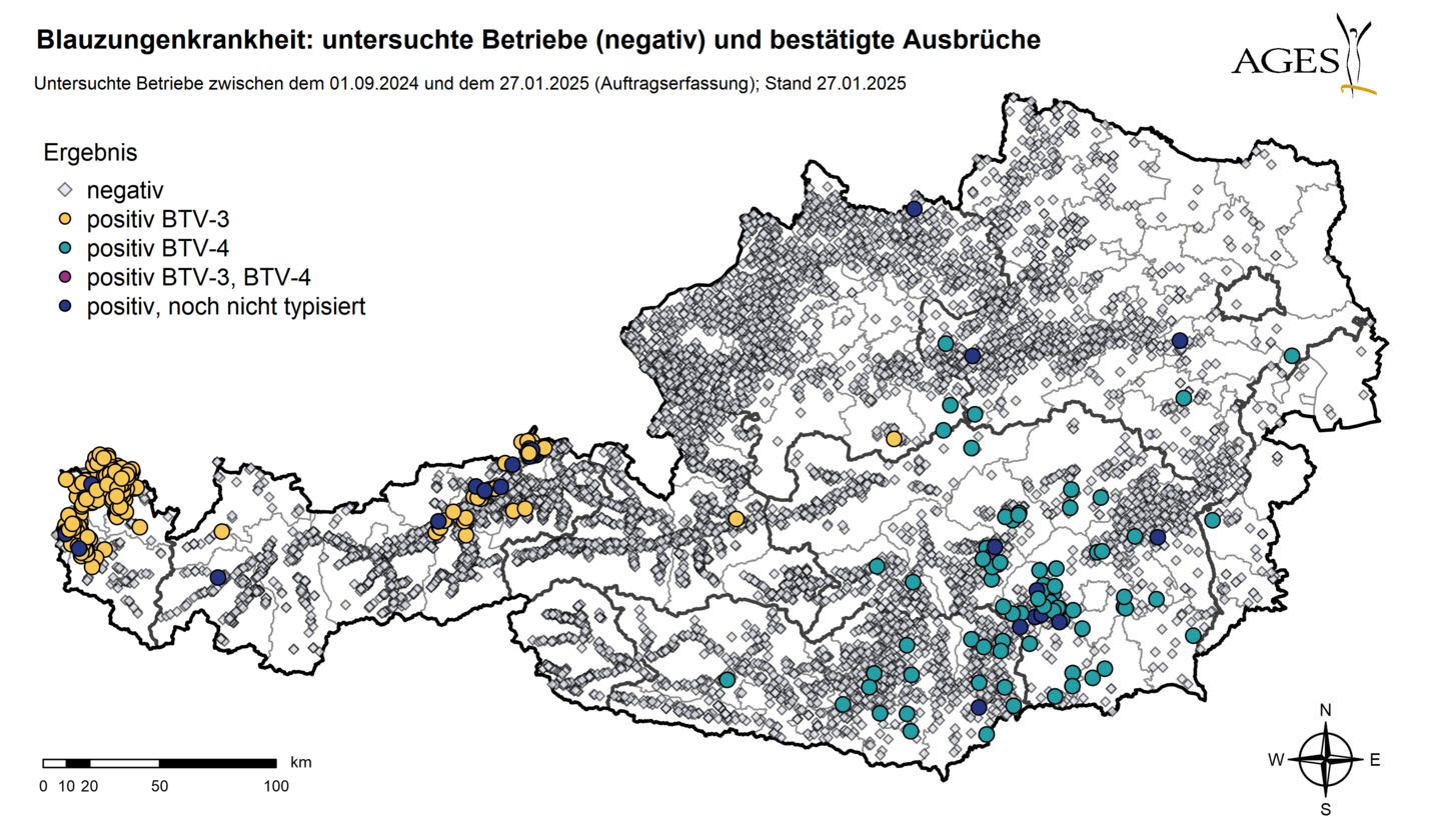 csm BT Ueberwachung 2024 ffc0e1342d.png