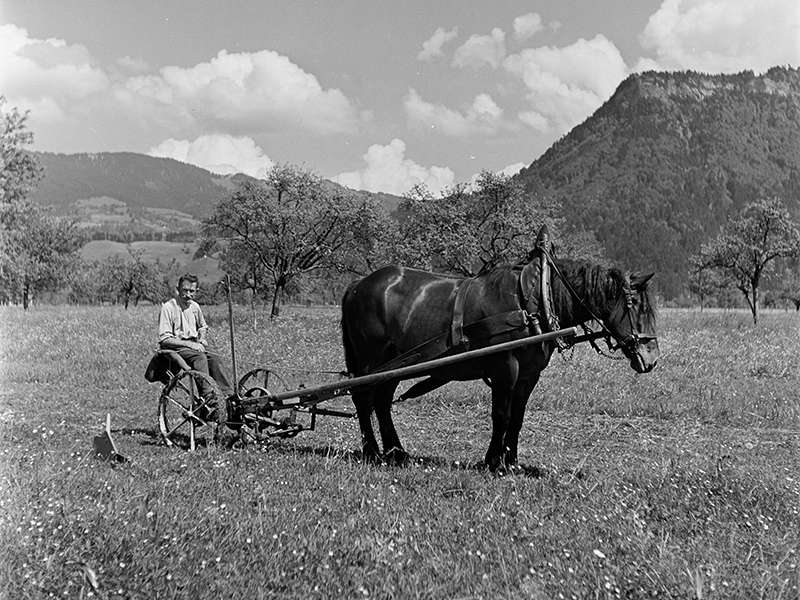 Landwirtschaft früher.jpg © Sammlung Franz Beer, Stadtarchiv Dornbirn