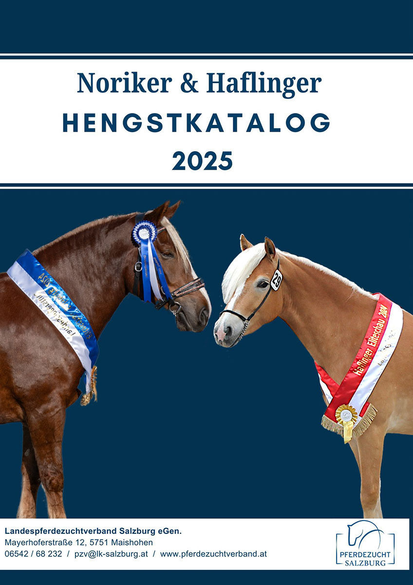 Hengstkatalog.jpg