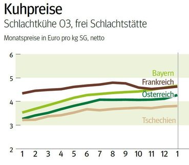 NÖ: Ausblick auf den Kuhmarkt