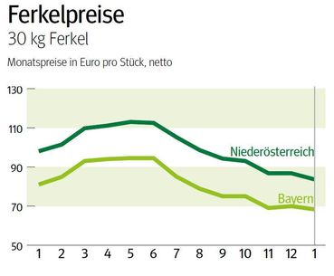 NÖ: Ausblick auf den Ferkelmarkt