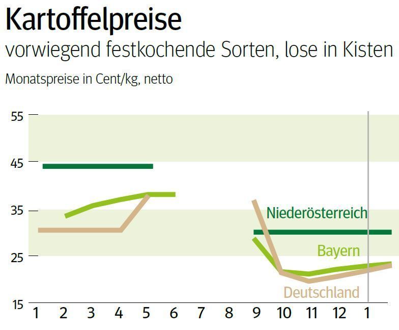 NÖ: Ausblick auf den Kartoffelmarkt