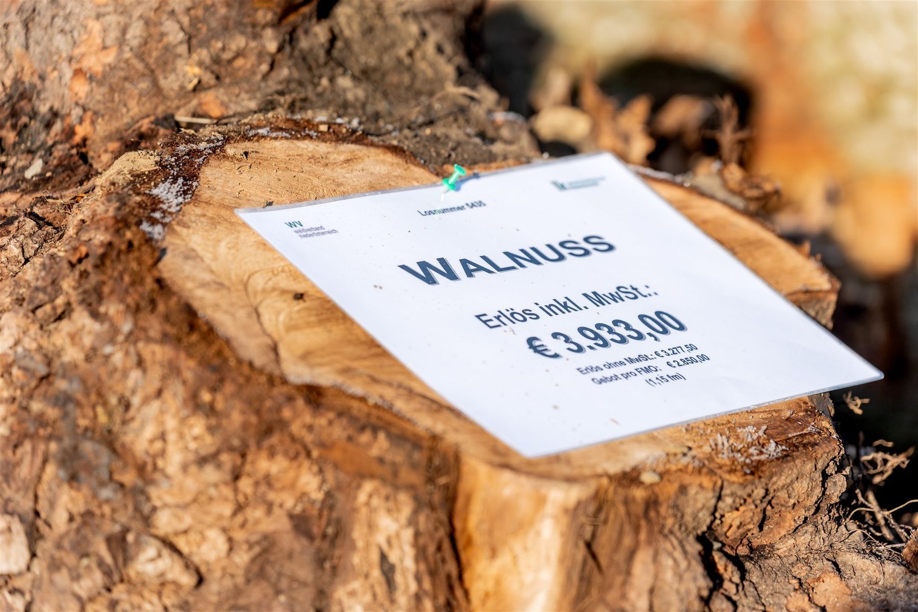 © Georg Pomaßl/LK Niederösterreich © Georg Pomaßl/LK Niederösterreich