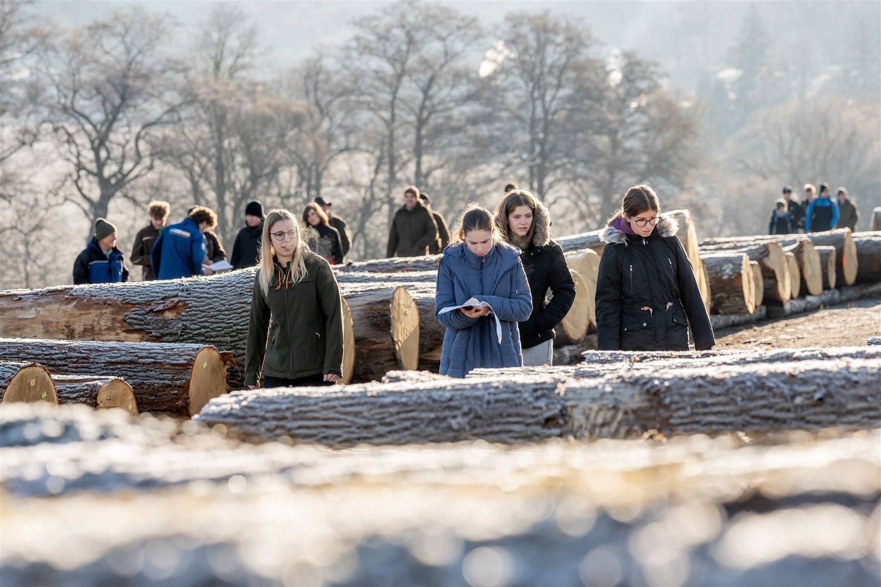 © Georg Pomaßl/LK Niederösterreich