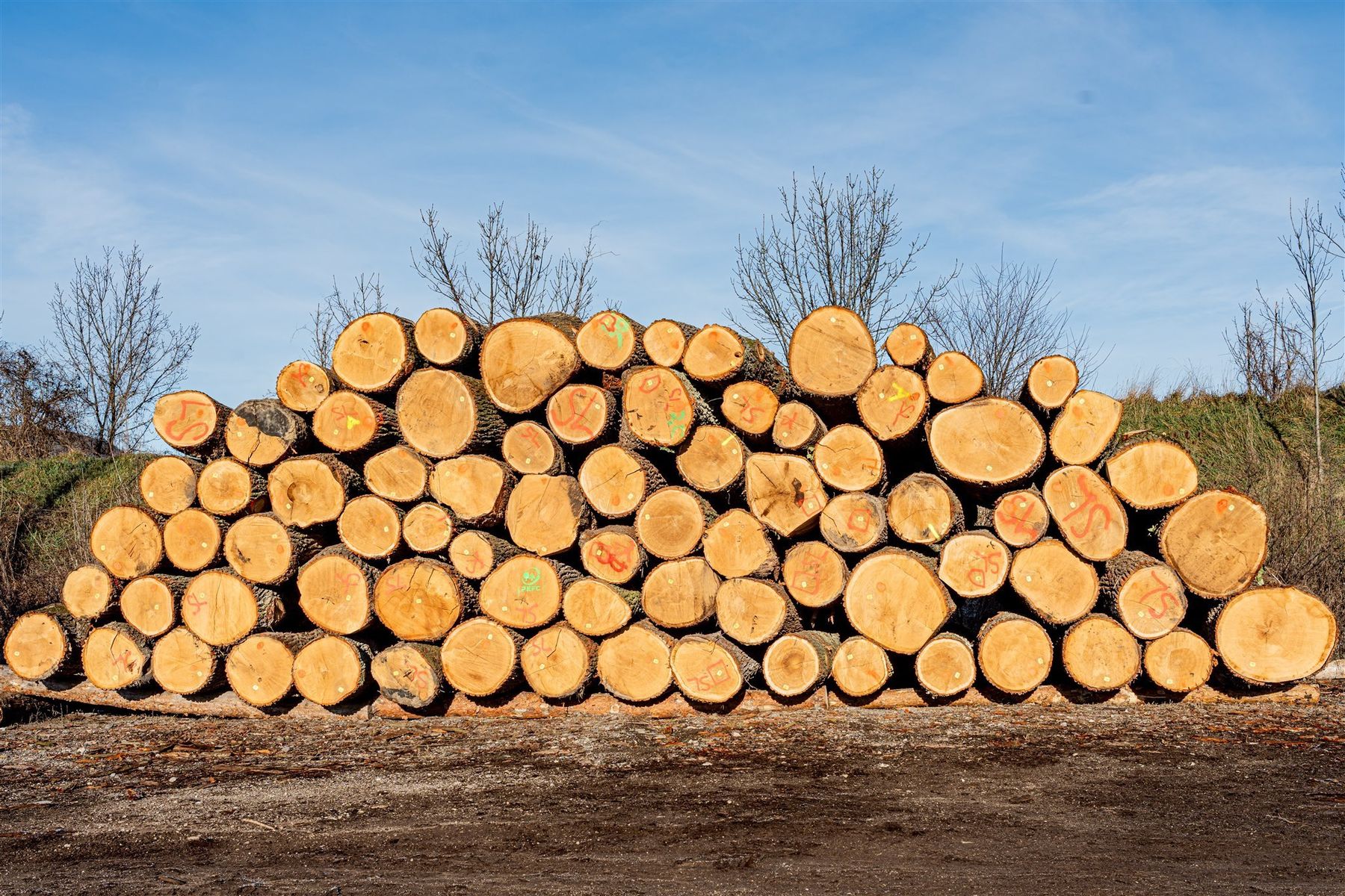 © Georg Pomaßl/LK Niederösterreich © Georg Pomaßl/LK Niederösterreich