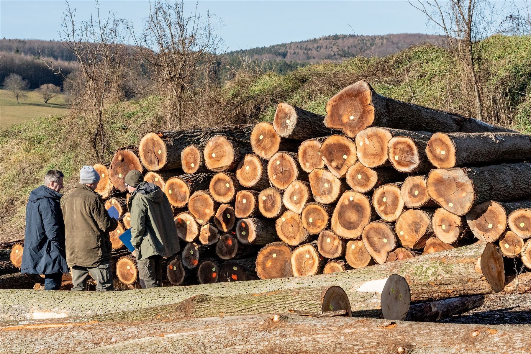 © Georg Pomaßl/LK Niederösterreich