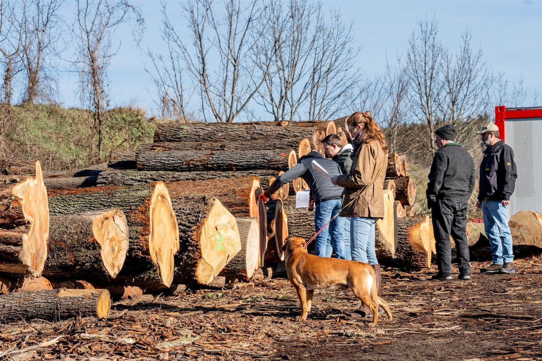 © Georg Pomaßl/LK Niederösterreich © Georg Pomaßl/LK Niederösterreich