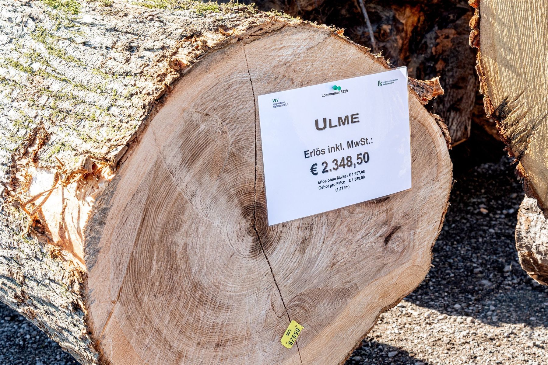 © Georg Pomaßl/LK Niederösterreich © Georg Pomaßl/LK Niederösterreich