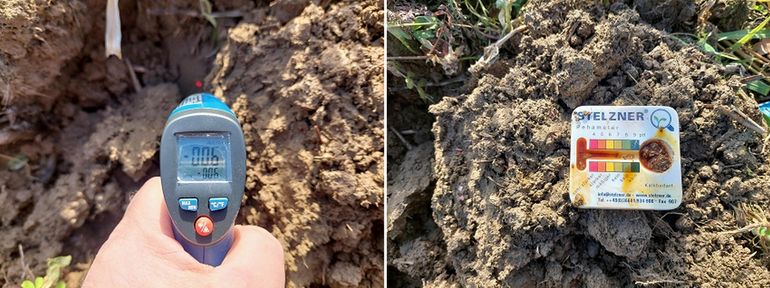 Bodentemperatur_pH-Wert.jpg © BWSB/Wallner Bodentemperatur_pH-Wert.jpg © BWSB/Wallner
