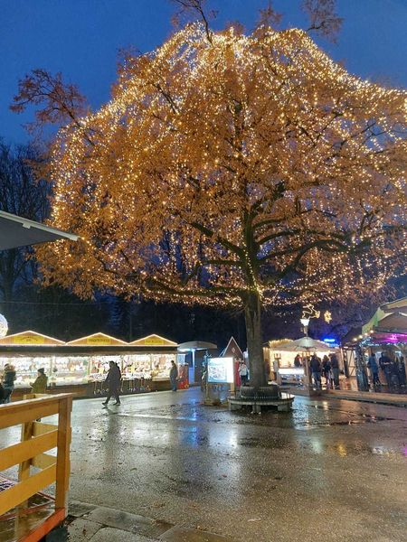 Christkindlmarkt Linz und Kristallschiff © Die Bäuerinnen im Bezirk Gmünd