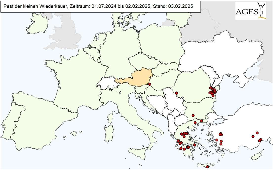 Darstellung des aktuellen Ausbruchs der Pest des kleinen Wiederkäuers.jpg