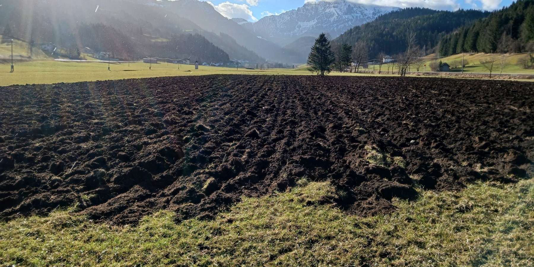 Grünlandumbruch.jpg © LK OÖ/Mandl Grünlandumbruch.jpg © LK OÖ/Mandl