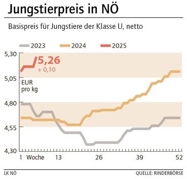 Grafik Stierpreis 6_2025.jpg © LK NÖ Grafik Stierpreis 6_2025.jpg © LK NÖ