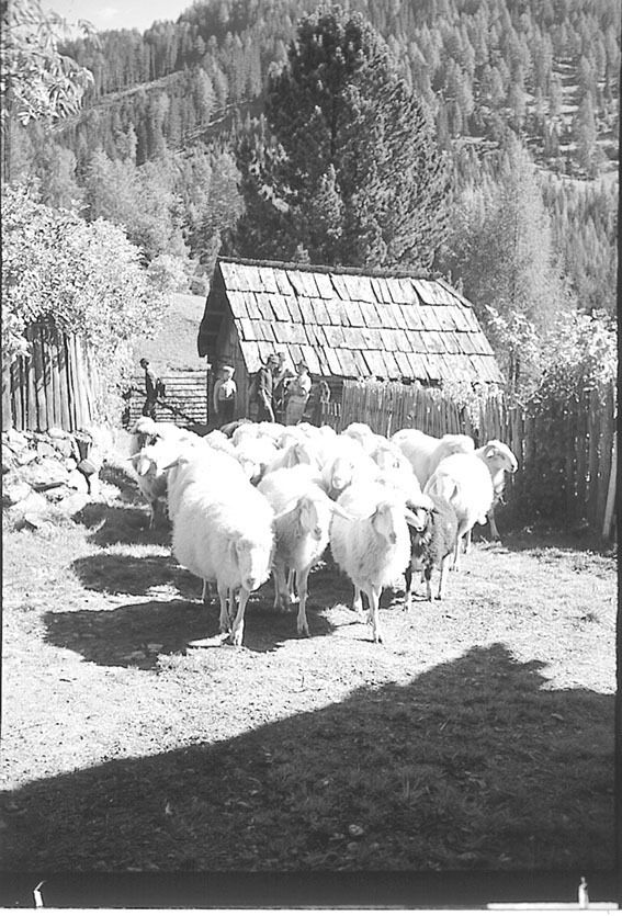 Unternberg2.jpg © Archiv Unternberg2.jpg © Archiv