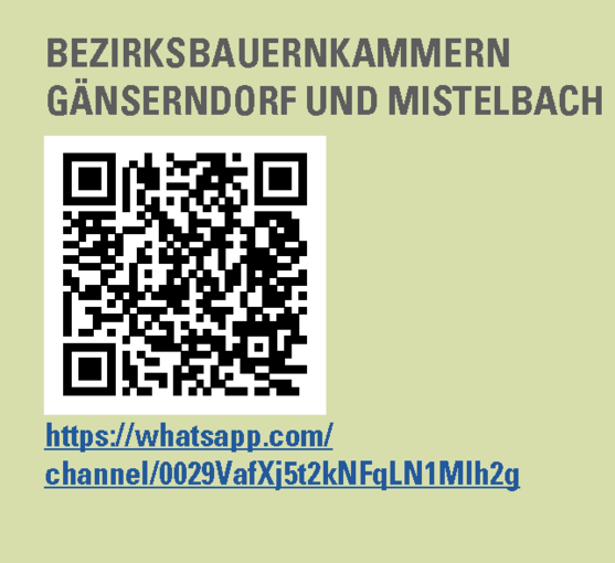 WhatsApp-Kanal_GF-MI_QR-Code mit Text und Link.png © NÖ LK