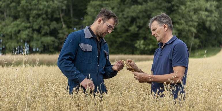 Hafer.jpg © agrarfoto.com Hafer.jpg © agrarfoto.com