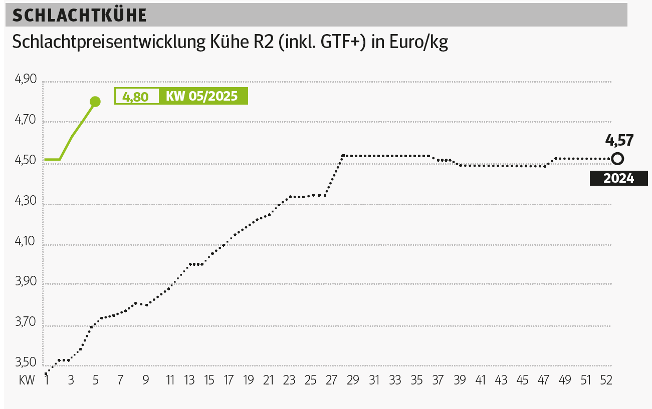 Schlachtkuhgrafik WK 5.png © Grafik RZV Schlachtkuhgrafik WK 5.png © Grafik RZV