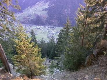 Schutzwald.jpg © Waldverein Vorarlberg