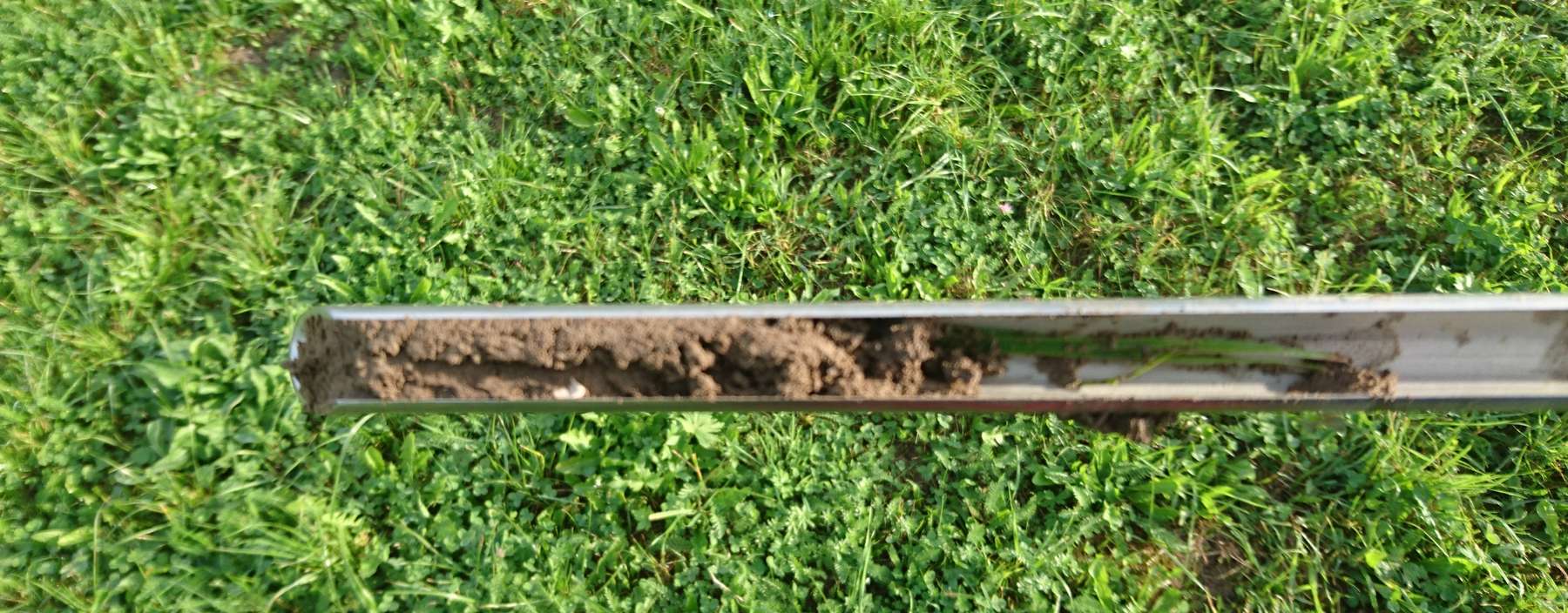 Bodenprobe1.jpg © BWSB Bodenprobe1.jpg © BWSB