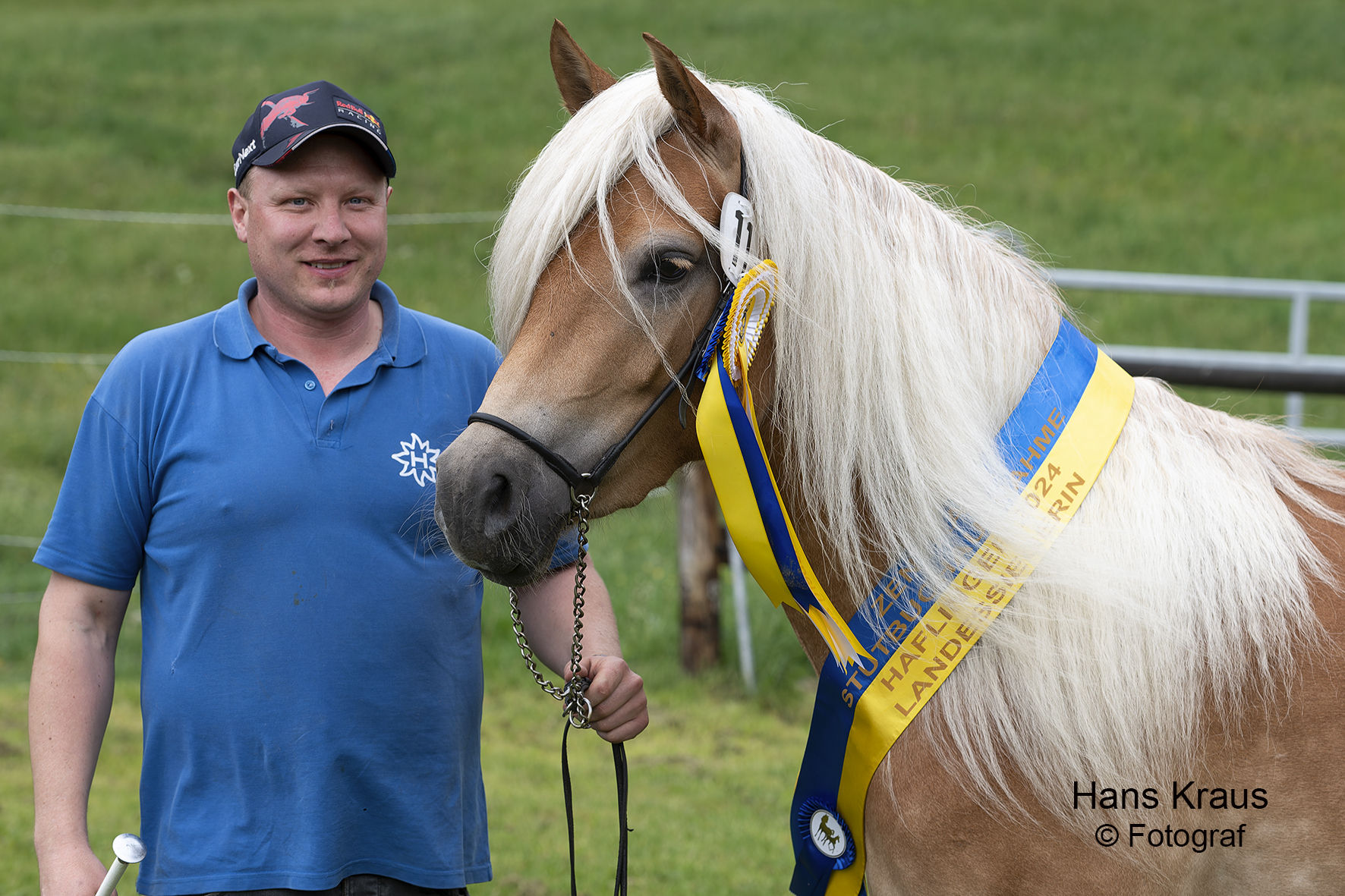 Haflinger Züchter Franz Kölbel mit Haflingerstute © Hans Kraus