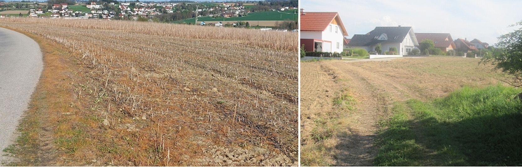 Straßenränder und Wander-Wege NICHT behandeln_Abdrift unbedingt vermeiden.jpg © BWSB/Wallner