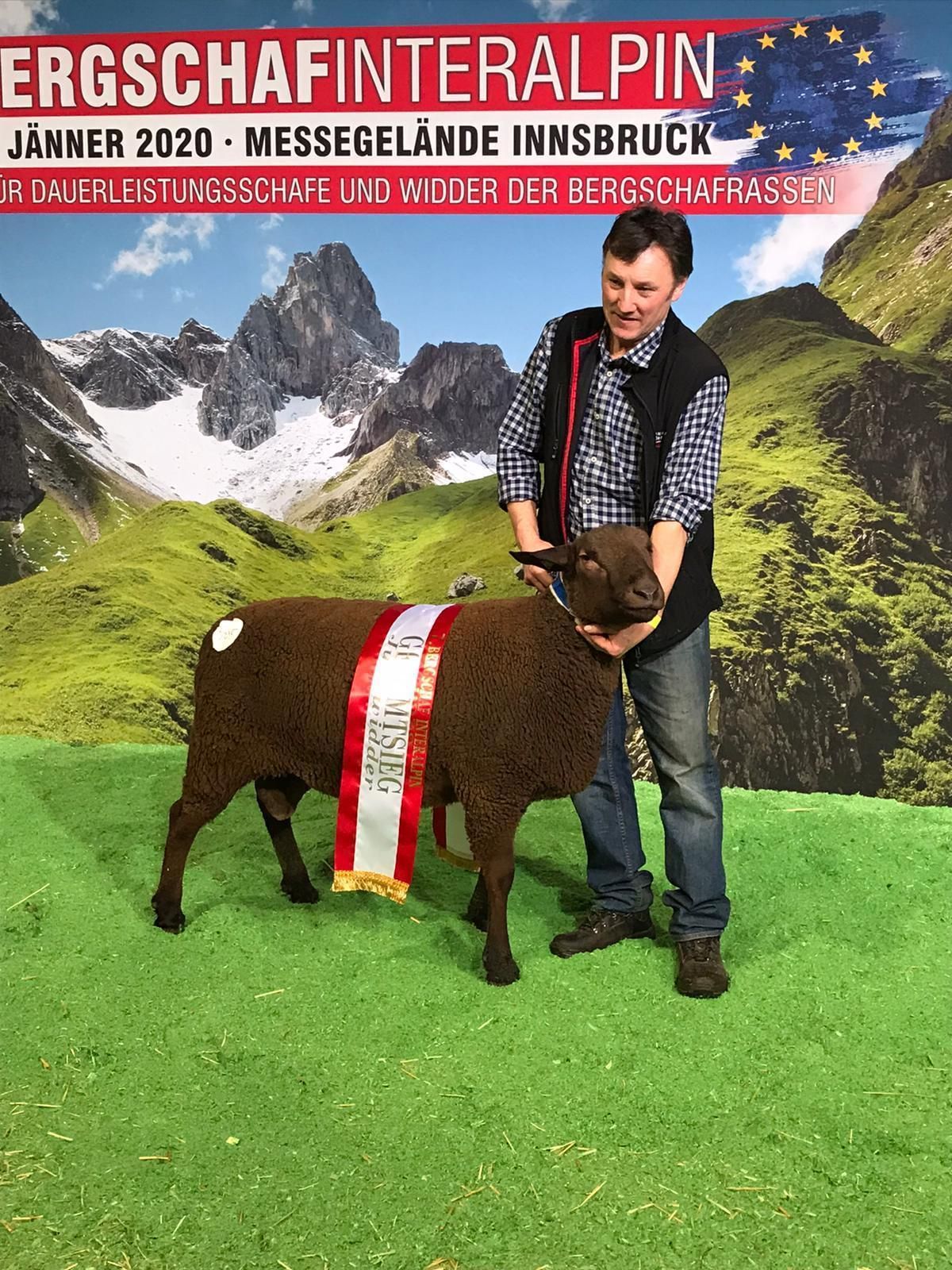 Bild3 Gerhard Interalpin.jpg © Salzburger Schafzuchtverband Bild3 Gerhard Interalpin.jpg © Salzburger Schafzuchtverband
