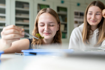 Bildung_HLBLA_St_FlorianDK-20241001093323-2©Daniela_Koeppl-HR.jpg © Daniela Köppl Bildung_HLBLA_St_FlorianDK-20241001093323-2©Daniela_Koeppl-HR.jpg © Daniela Köppl