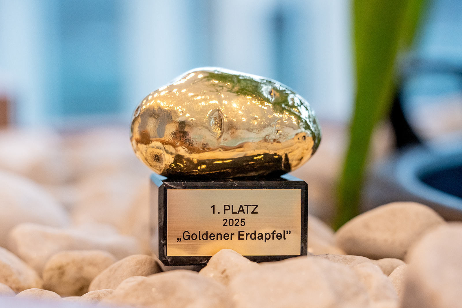 © Georg Pomaßl/LK Niederösterreich © Georg Pomaßl/LK Niederösterreich