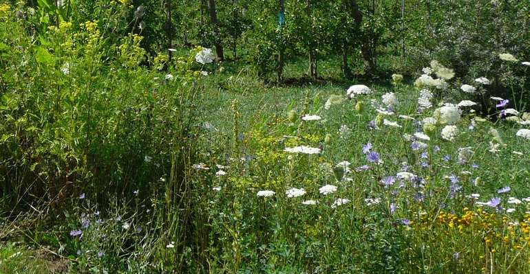 Biodiversität © LK Steiermark