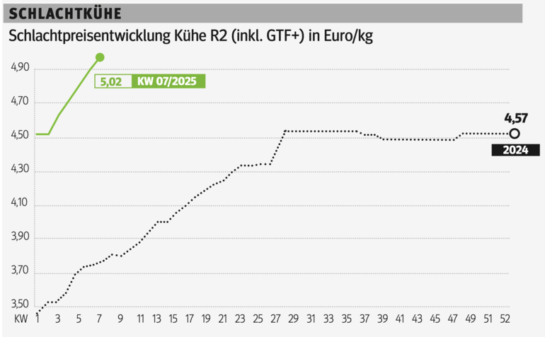 Schlachtkuhgrafik KW 7.png © Grafik RZV