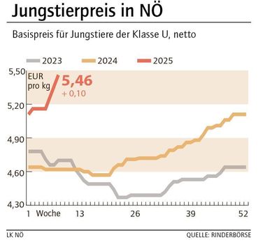 Grafik Stierpreis 8_2025.jpg © LK NÖ