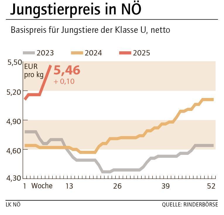 Grafik Stierpreis 8_2025.jpg © LK NÖ